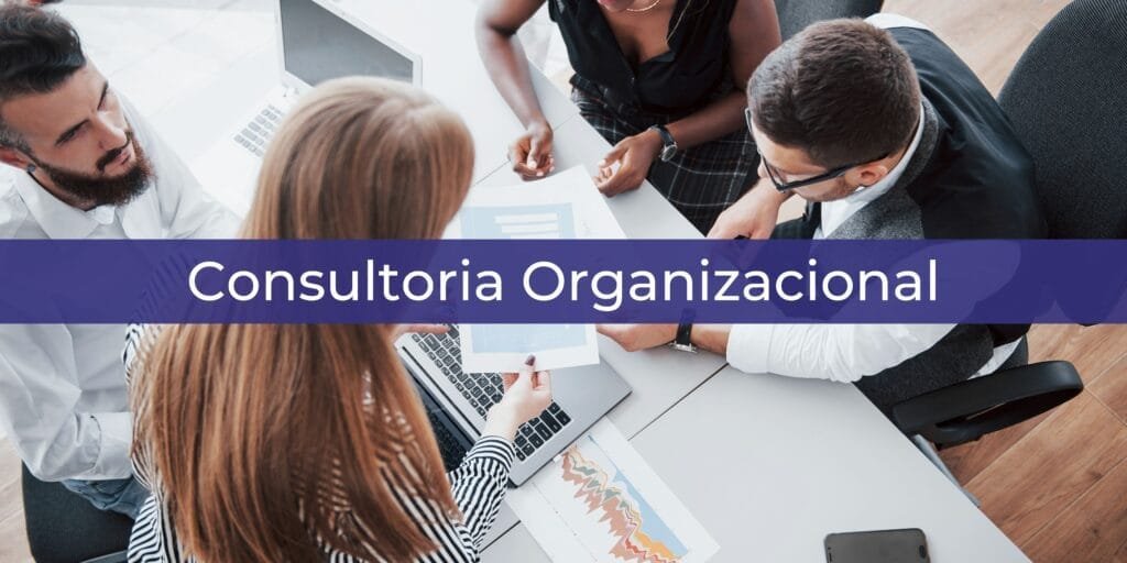 Consultoria Organizacional
